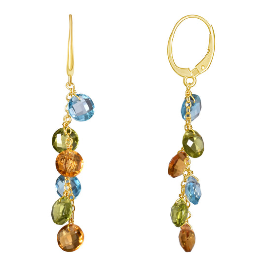 14k Multi Gemstone Coin Leverback Earring