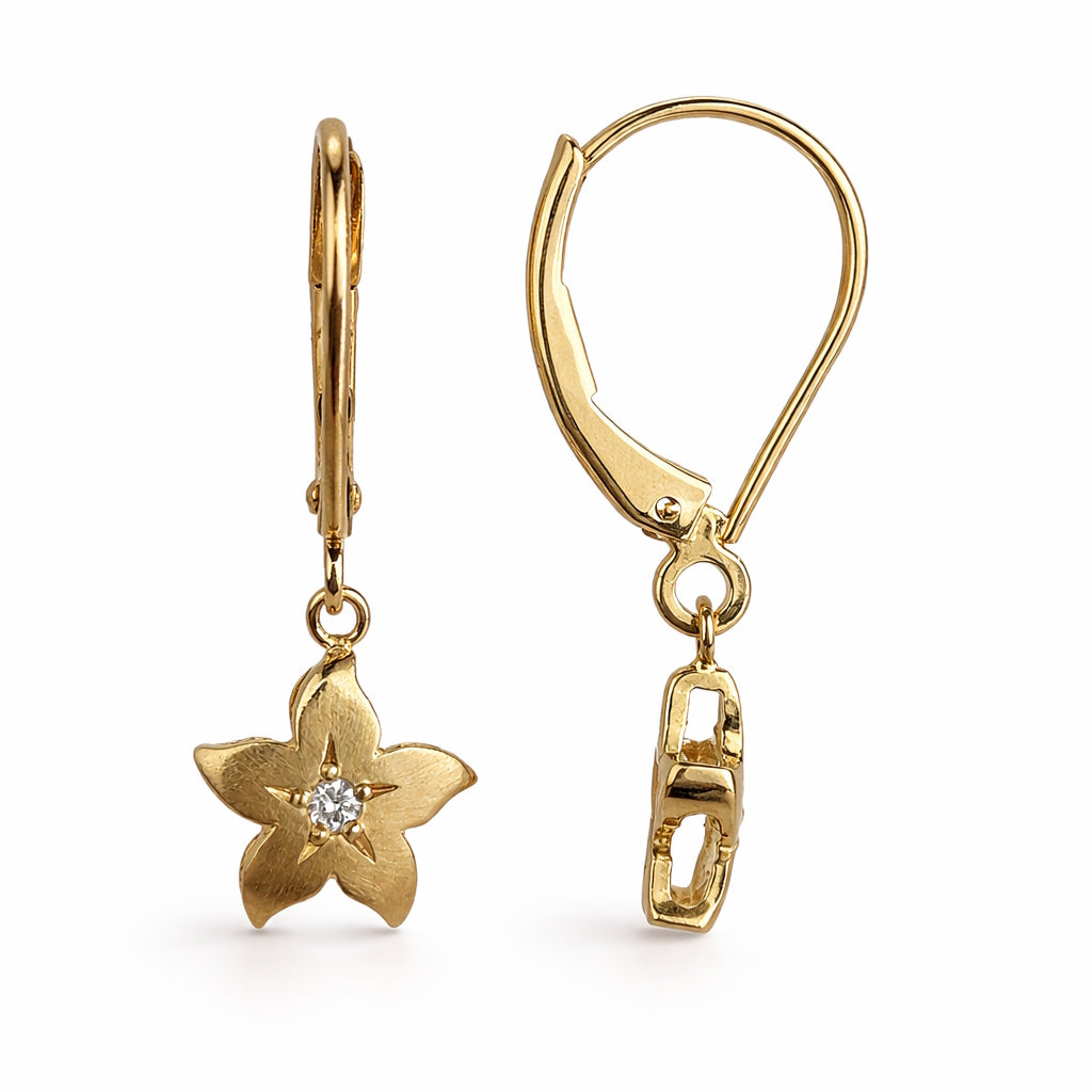 Séchic 14k Star with Diamond Leverback Earrings
