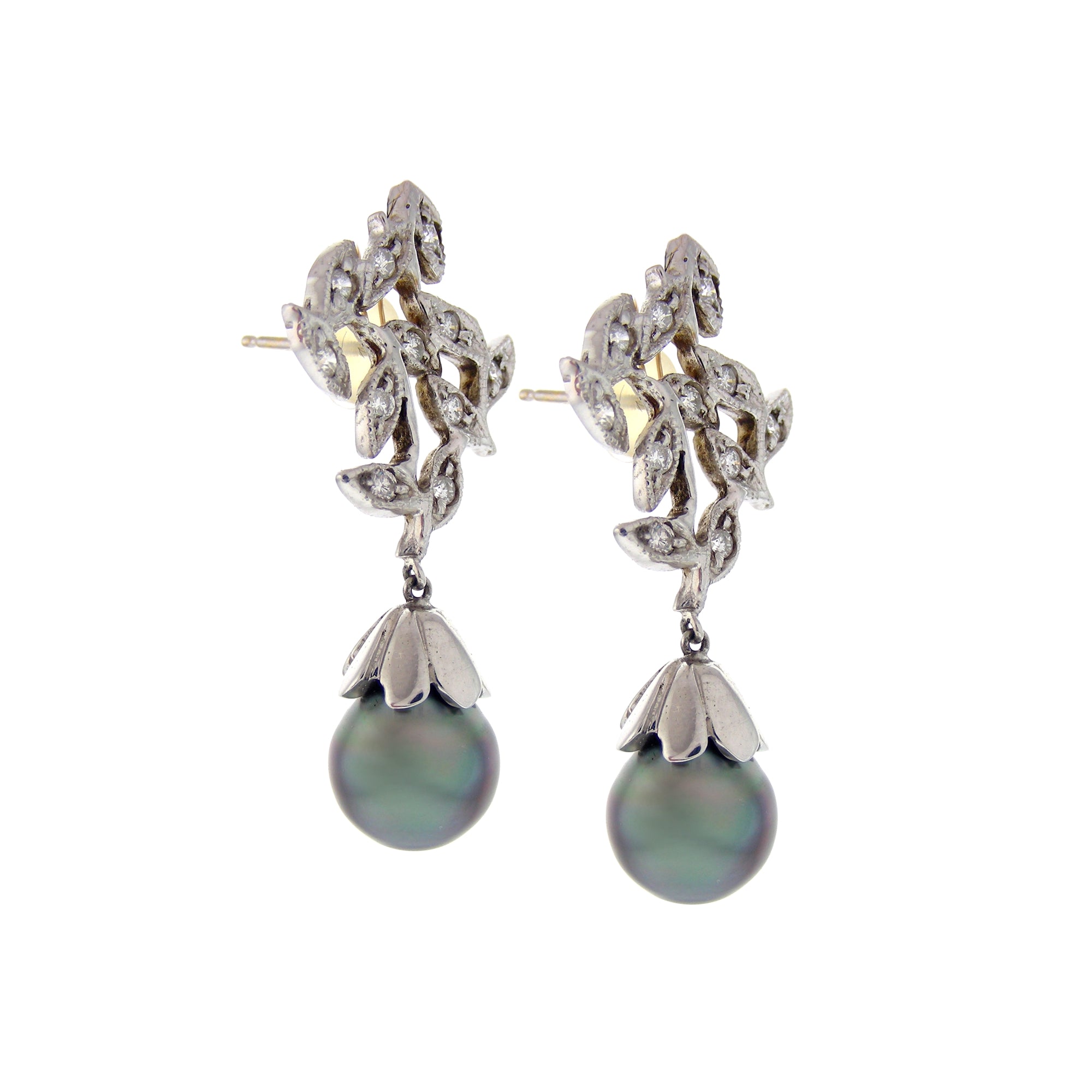 14k White Gold Tahitian South Sea Pearl Diamond Earring