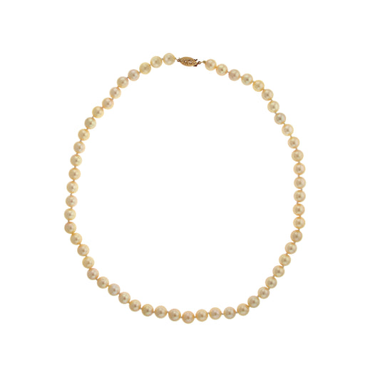 14ky Golden Japanes Akoya Cultured Pearl Necklace 18"