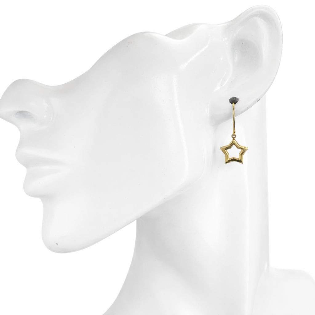 Séchic 14k Open Star Hook Earring